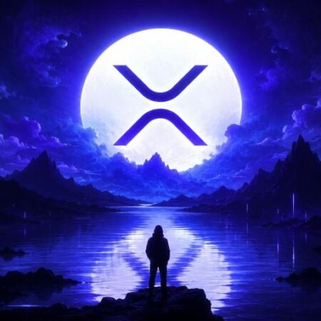 XRP持有者涌入币安 663%激增