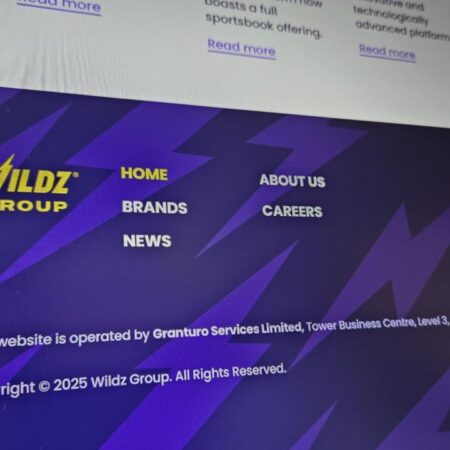 Wildz集团CEO揭晓芬兰宏图计划